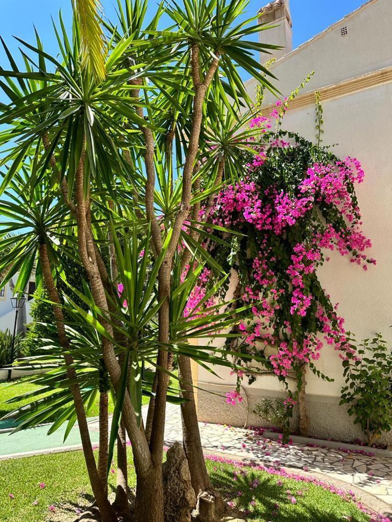 Apartamento Vera Coast 123 Playas de Vera Exterior foto